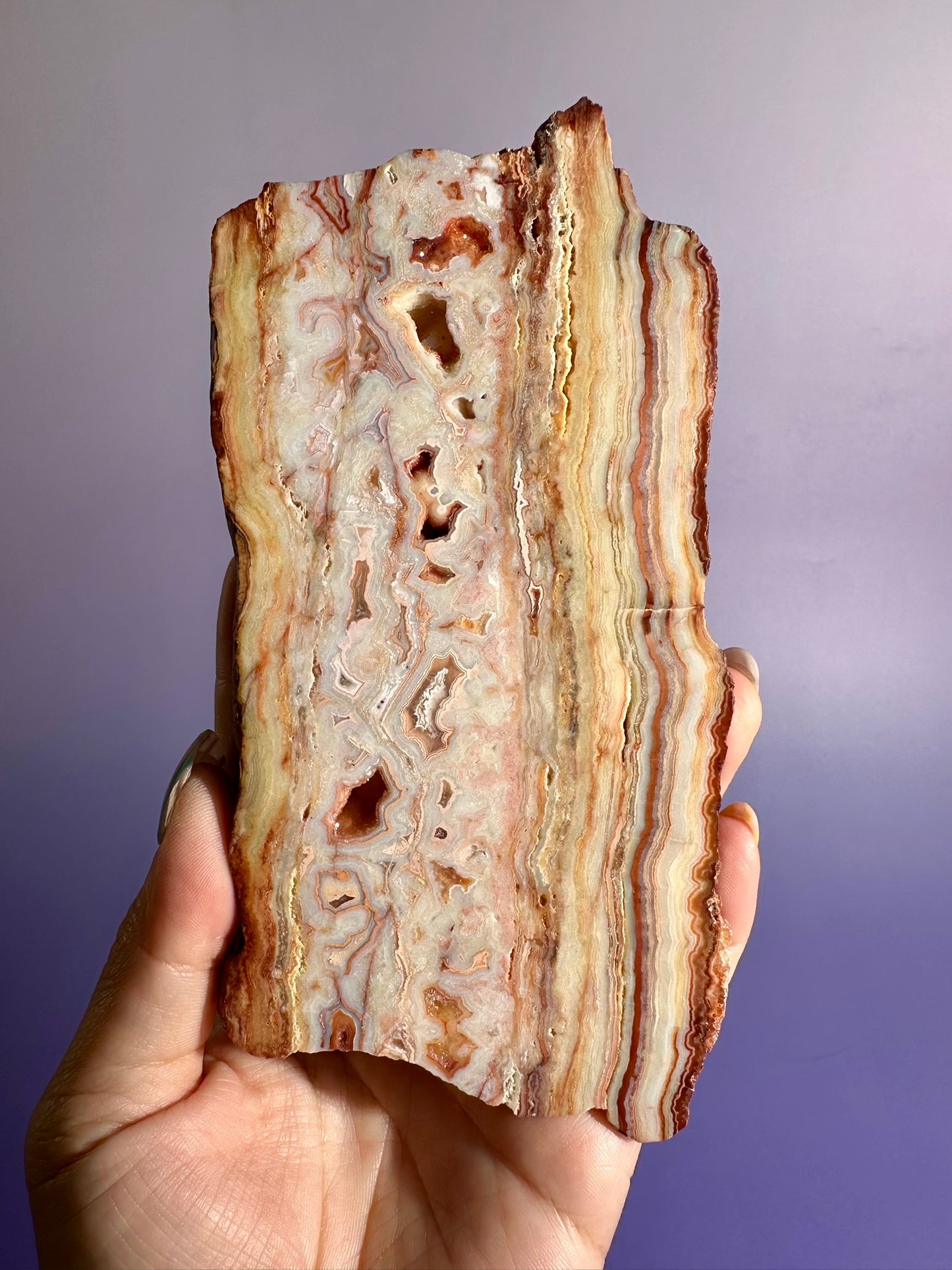 Pink Crazy Lace Agate Slab Option C | One-of-a-Kind Collector Crystal