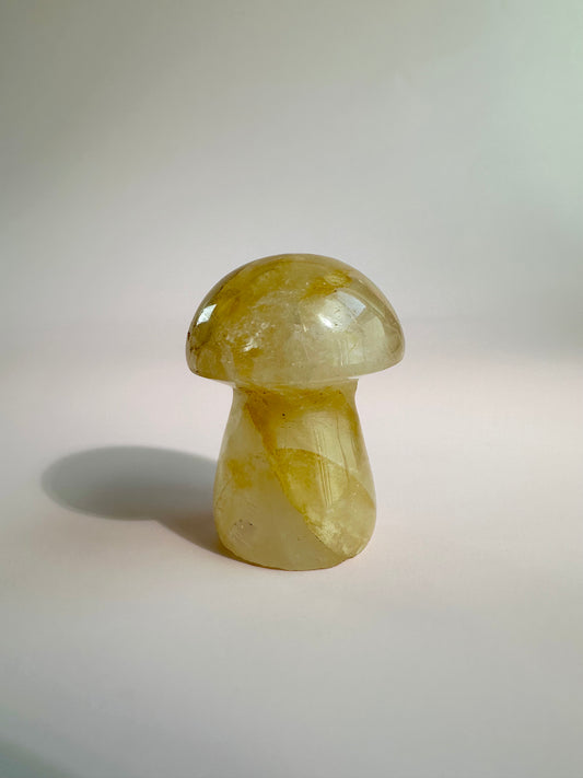 Small Golden Healer Mushroom