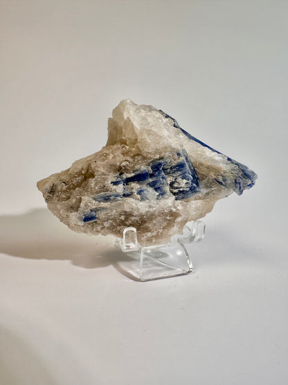 Kyanite in Quartz Cluster - F