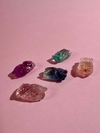 Mini Rainbow Fluorite Cicada | Insect Crystal Carving