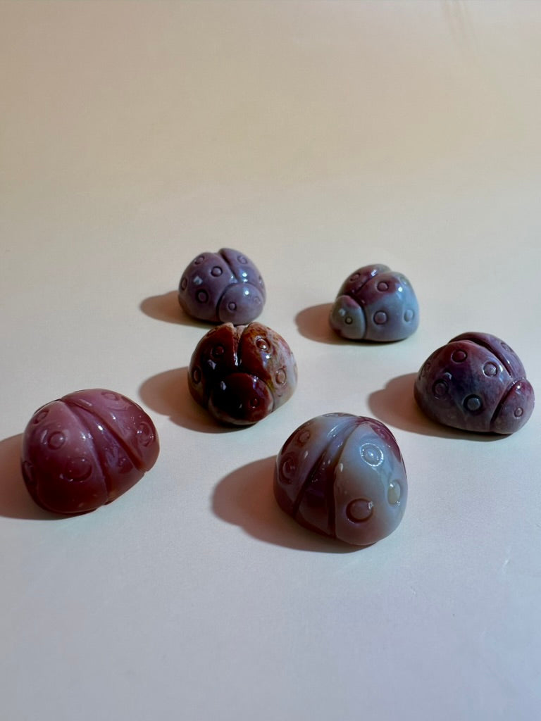 Mini Alashan Agate Ladybug | Cute Crystal Carving