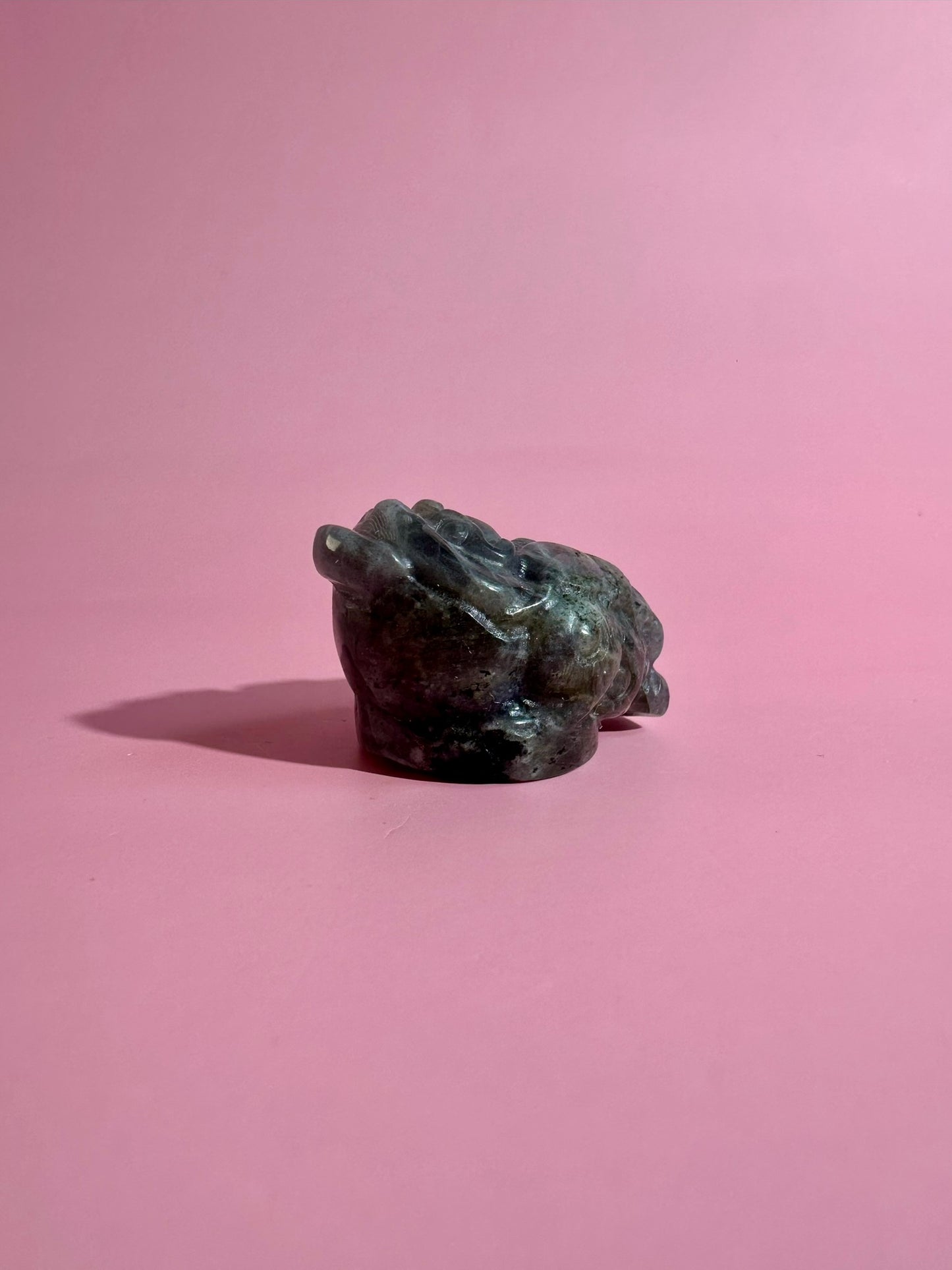 Flashy Labradorite Money Toad – Option A