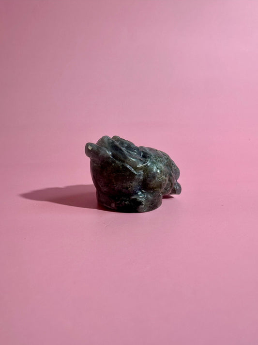 Flashy Labradorite Money Toad – Option A