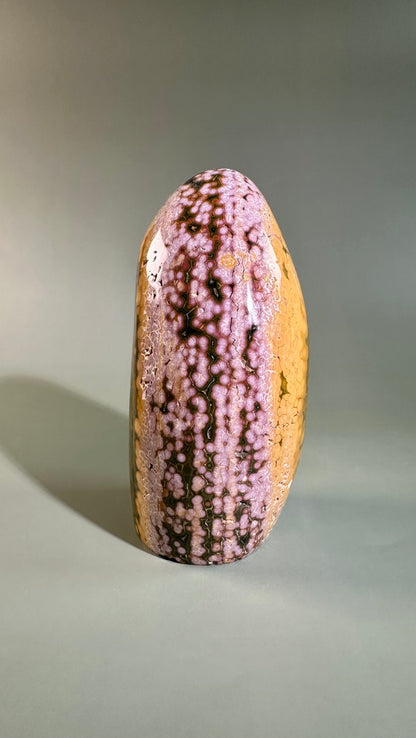 Ocean Jasper Freeform – C