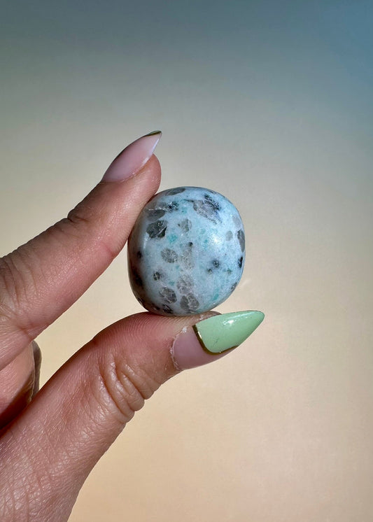 Kiwi Jasper Tumble