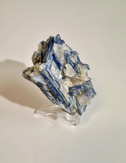 Kyanite in Quartz Cluster - E