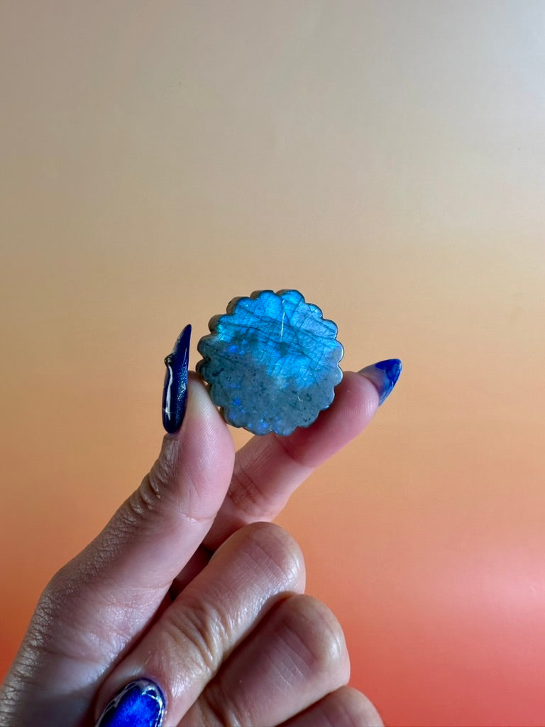 Labradorite Daisy | Flashy Flower Crystal Carving