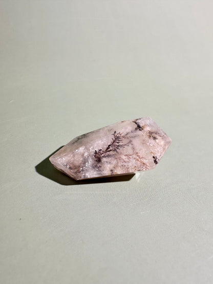 Dendritic Quartz Gusher – Option F | Rare Collector Crystal, Grounding & Inner Wisdom