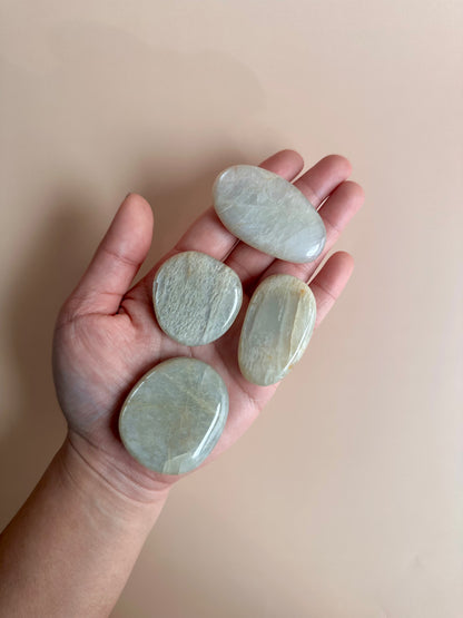 Moonstone Flat Palm