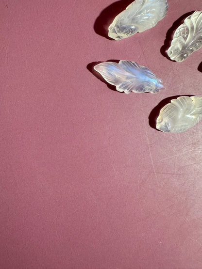 Mini Moonstone Koi Fish | Crystal Carving