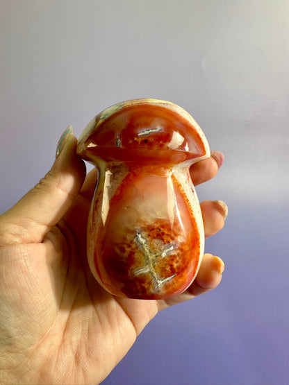 Carnelian Mushroom Carving – Option C | Collector Crystal, Abundance & Confidence