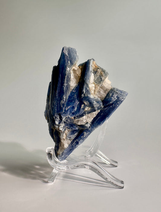 Kyanite in Quartz Cluster - Option  B