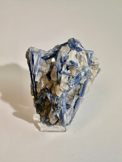 Kyanite in Quartz Cluster - E