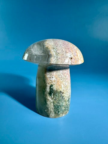 Sea Jasper Mushroom - B