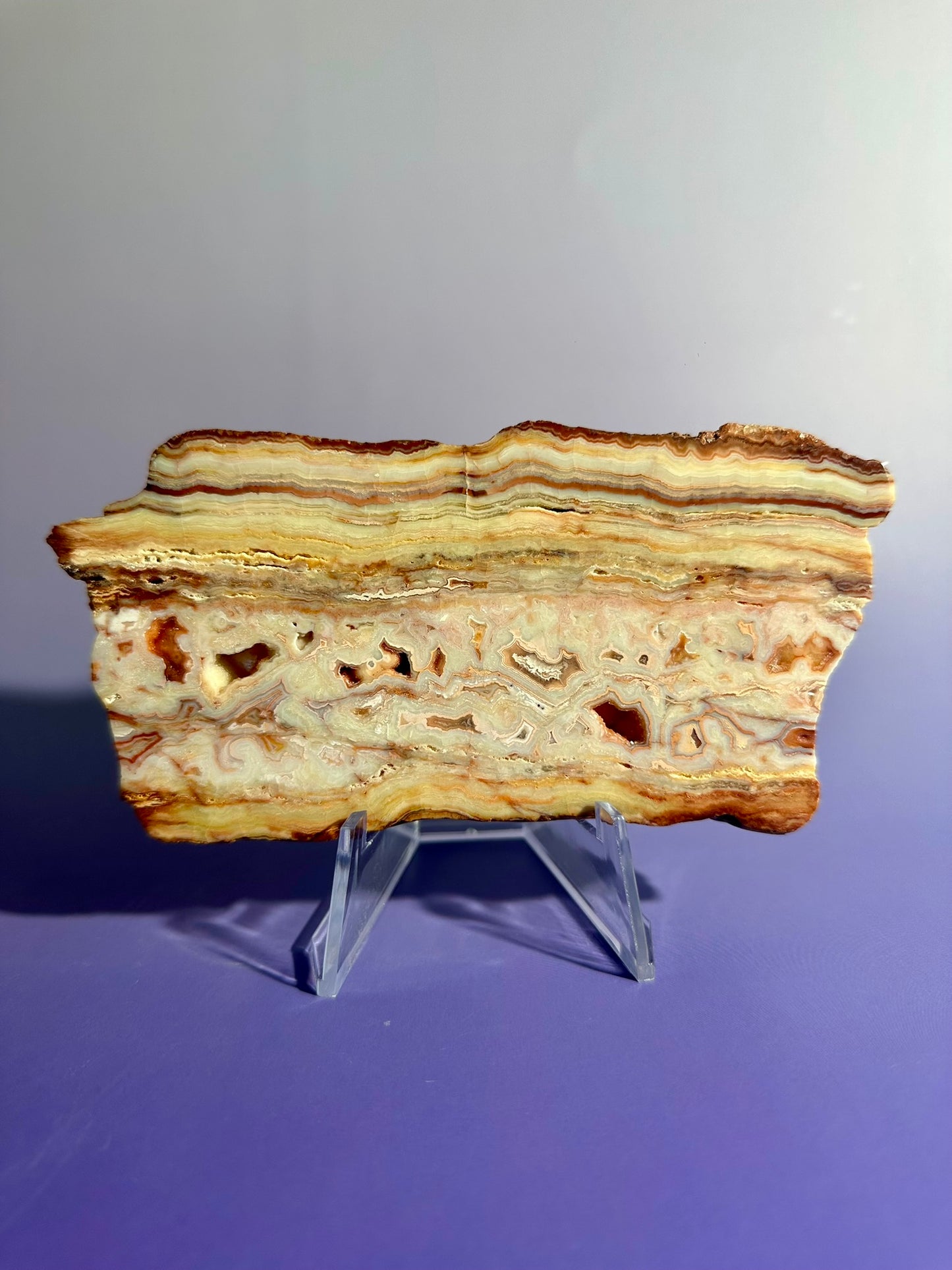 Pink Crazy Lace Agate Slab Option C | One-of-a-Kind Collector Crystal
