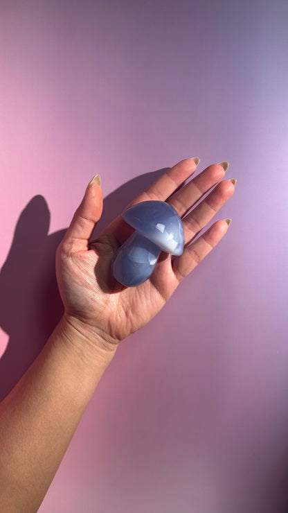 Blue Chalcedony Mushroom – Option D