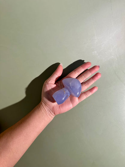 Blue Chalcedony Mushroom Carving – Option H | Serenity, Wisdom & Emotional Balance