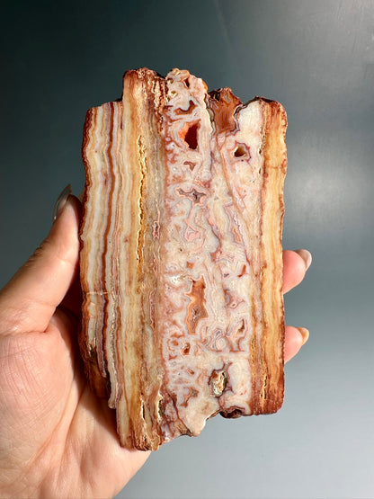 Pink Crazy Lace Agate Slab Option A | One-of-a-Kind Indonesia Display Crystal