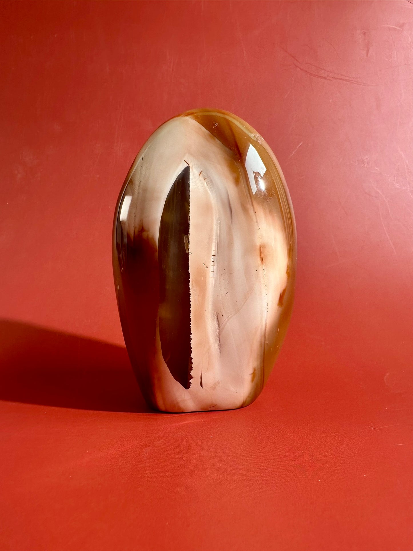 Carnelian Orca Agate Standing Freeform – Option E | Joy, Abundance & Natural Druzy Collector Crystal