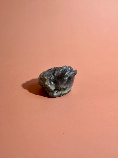 Flashy Labradorite Money Toad – Option D