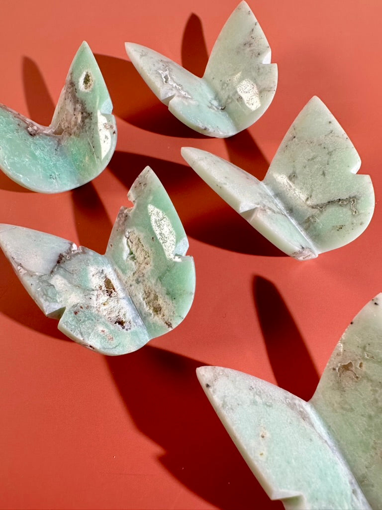 Intuitively Chosen Semi-Polished Chrysoprase 3D Butterfly | Renewal, Joy & Heart Healing Crystal