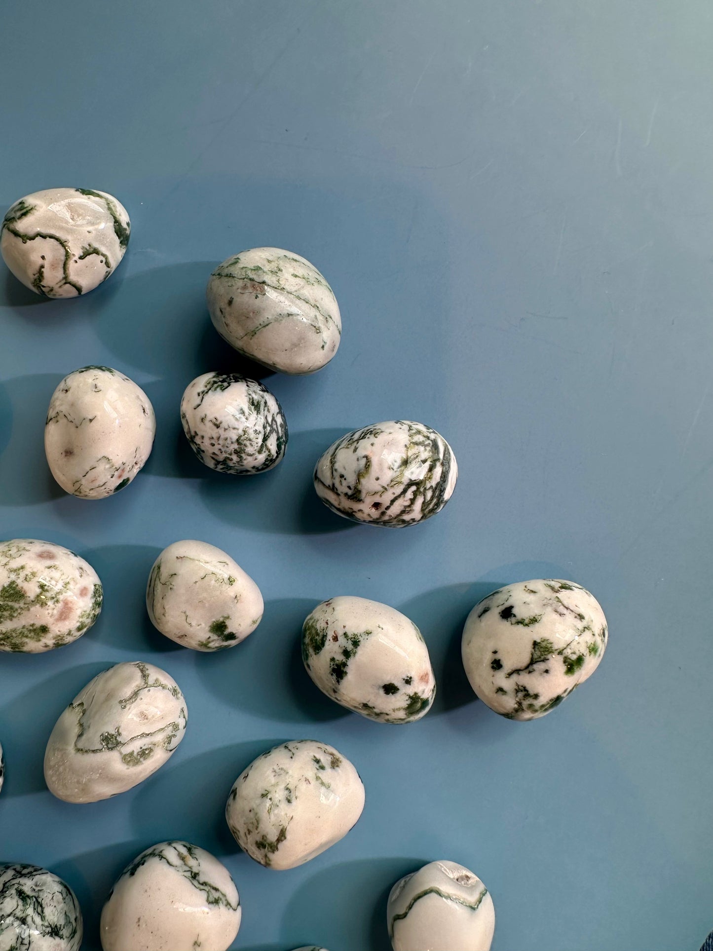 Tree Agate Tumble