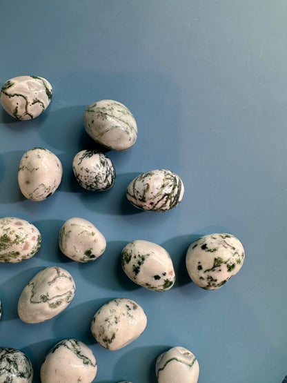 Tree Agate Tumble