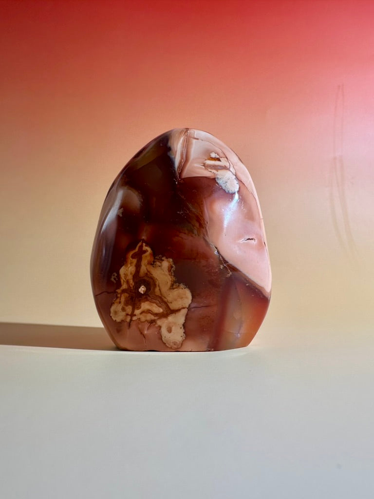 Carnelian Orca Agate Standing Freeform – Option D | Empowerment, Resilience & Collector Crystal