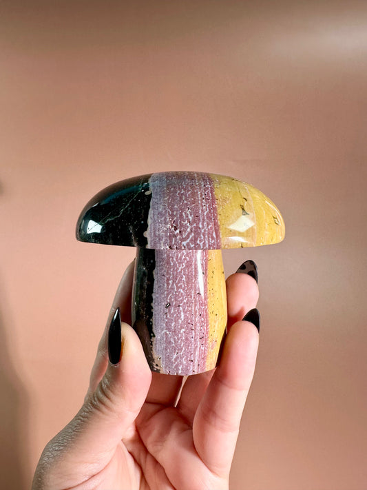 Ocean Jasper Mushroom - B