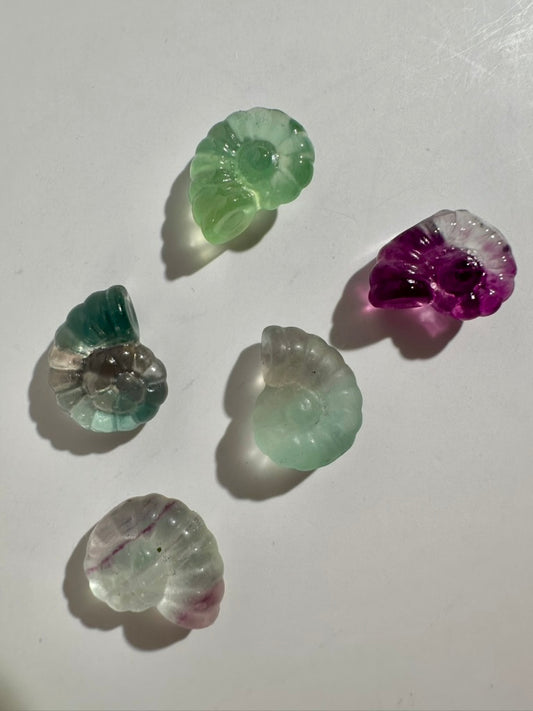 Mini Rainbow Fluorite Ammonite | Fossil-Inspired Crystal Carving