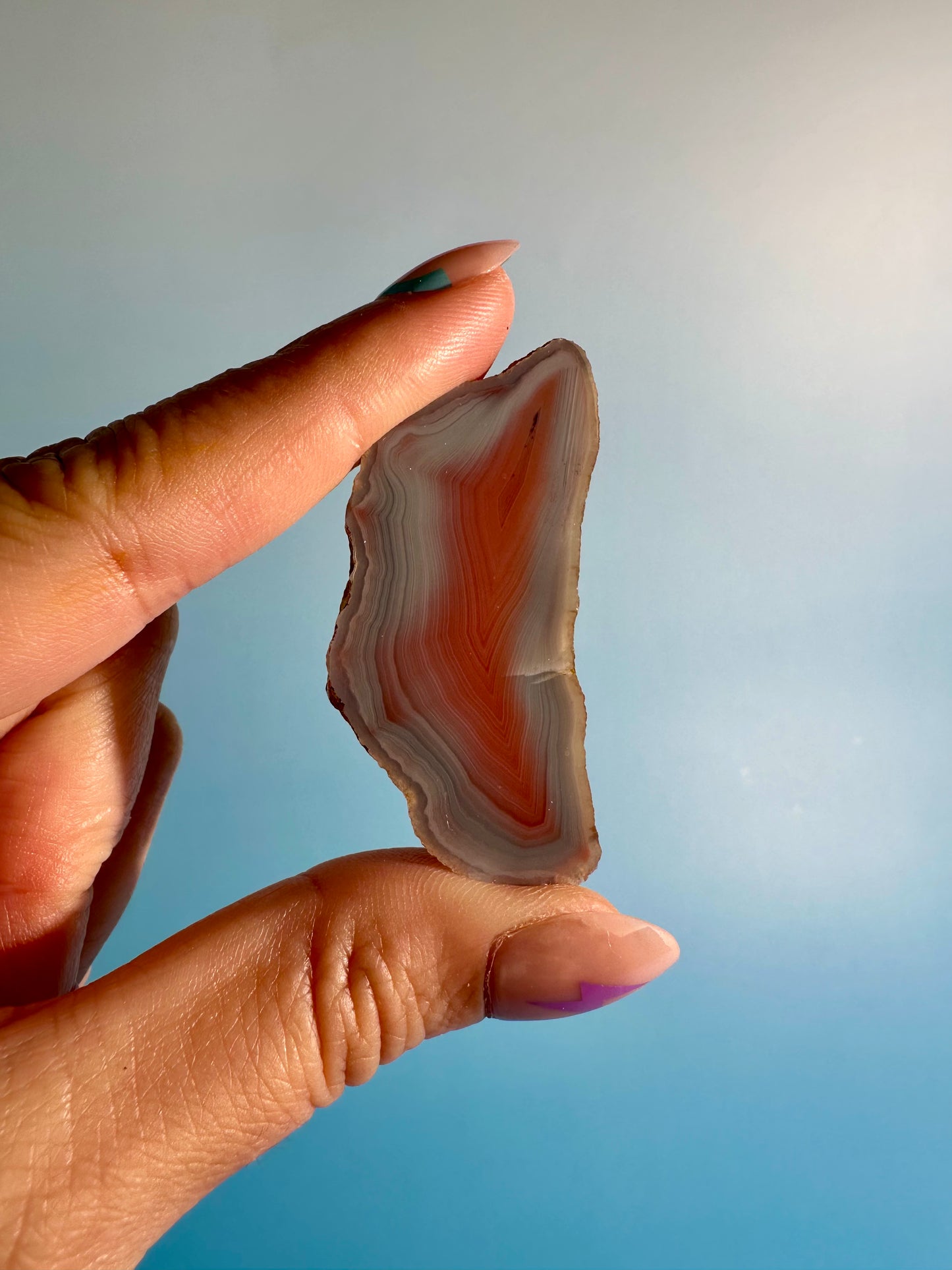 Agate Slice Option G | One-of-a-Kind Polished Agate Collector Specimen