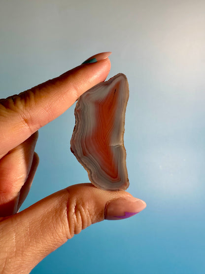 Agate Slice Option G | One-of-a-Kind Polished Agate Collector Specimen