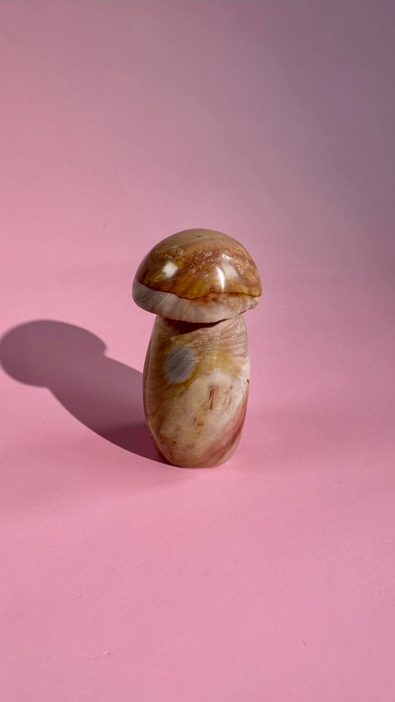 Perfectly Imperfect Small Sea Jasper Mushroom Misfit