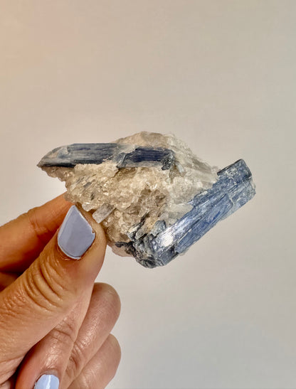 Kyanite in Quartz Cluster - D