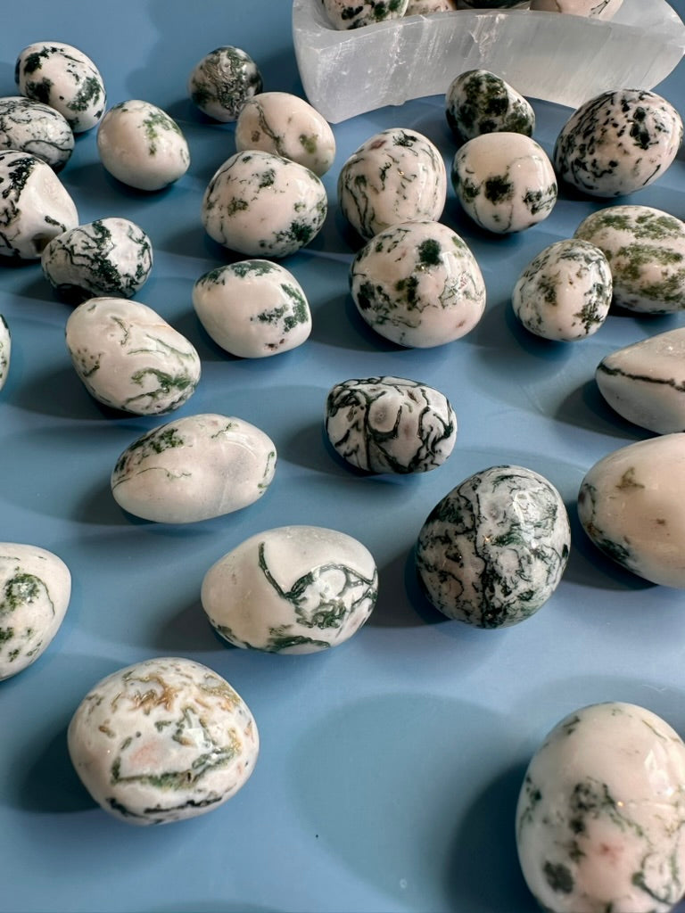Tree Agate Tumble