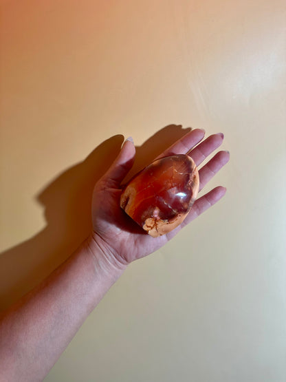 Carnelian Orca Agate Standing Freeform – Option D | Empowerment, Resilience & Collector Crystal