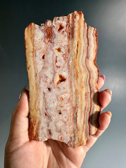 Pink Crazy Lace Agate Slab Option A | One-of-a-Kind Indonesia Display Crystal