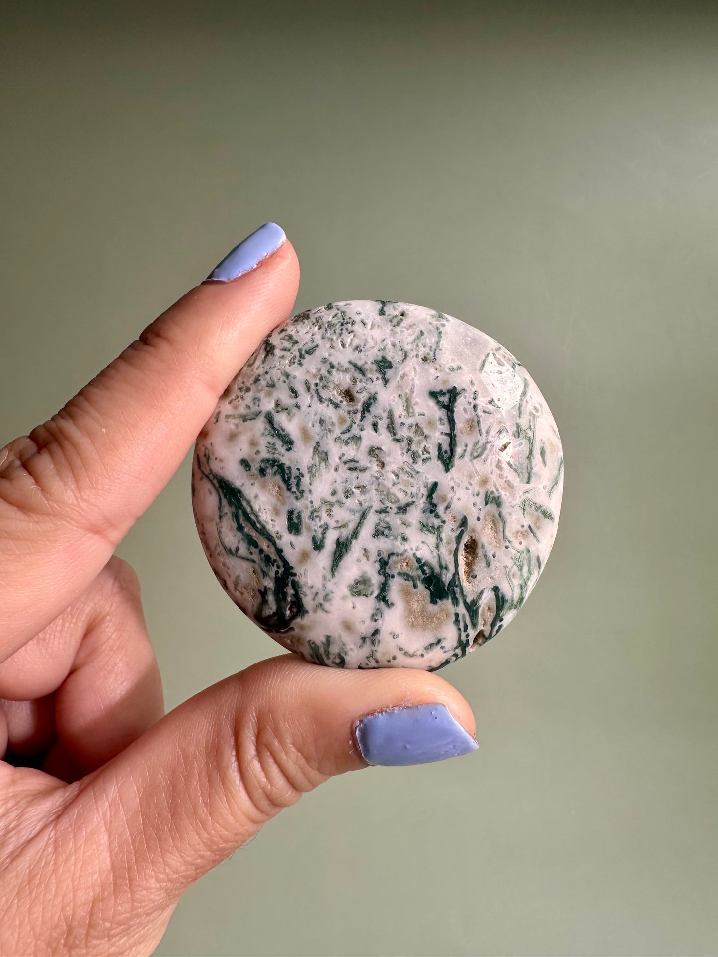Tree Agate Flat Palm