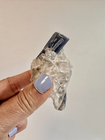 Kyanite in Quartz Cluster - D