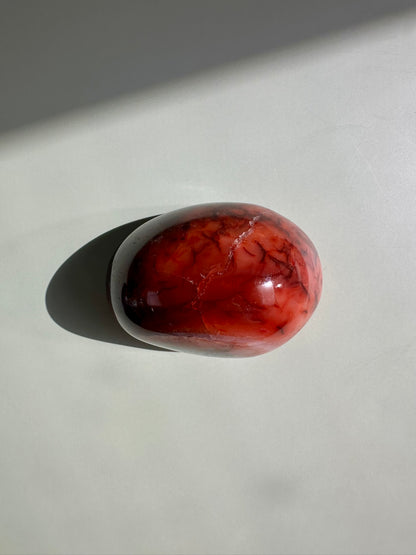 Carnelian Standing Freeform Option N | Confidence, Passion & Positive Energy Crystal
