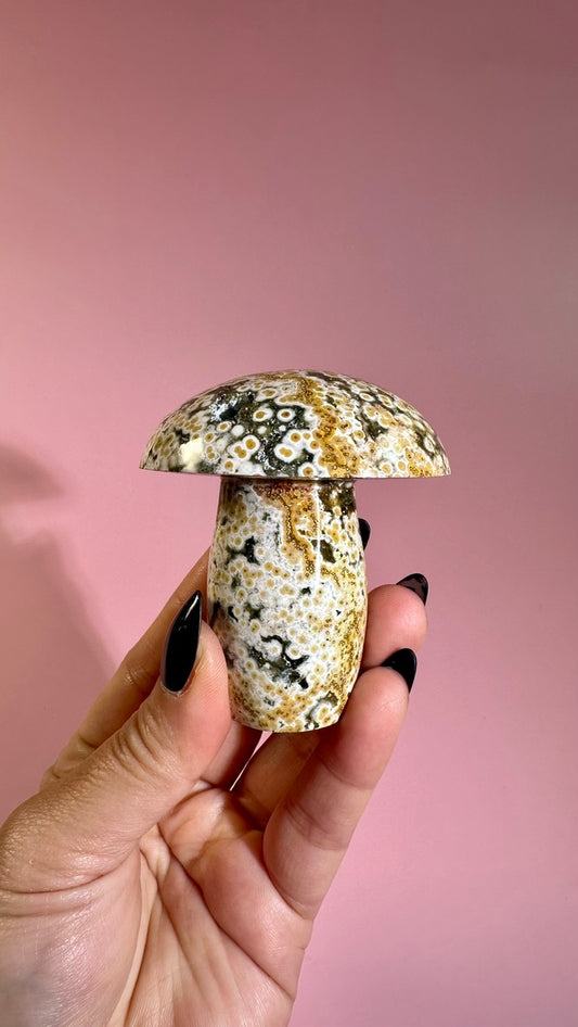 Ocean Jasper Mushroom – D