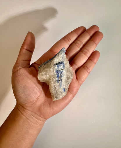 Kyanite in Quartz Cluster - F