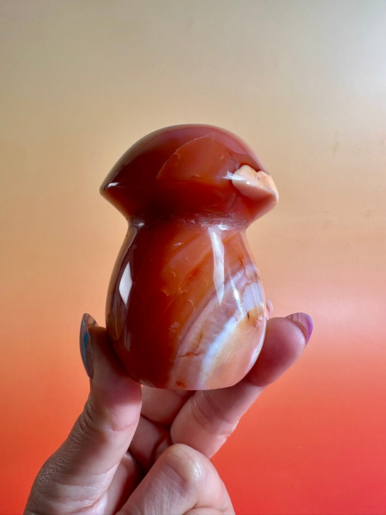 Carnelian Mushroom Carving – Option A | Courage, Vitality & Woodland Energy