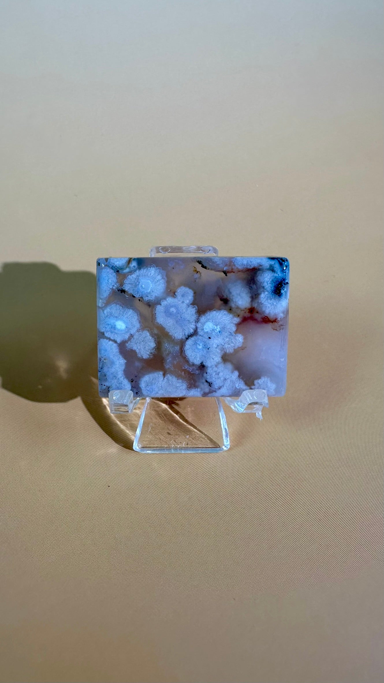 Flower Agate Window Slab – Option F