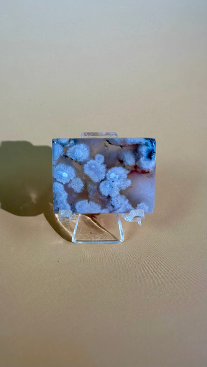 Flower Agate Window Slab – Option F
