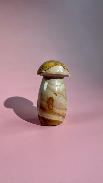 Perfectly Imperfect Small Sea Jasper Mushroom Misfit
