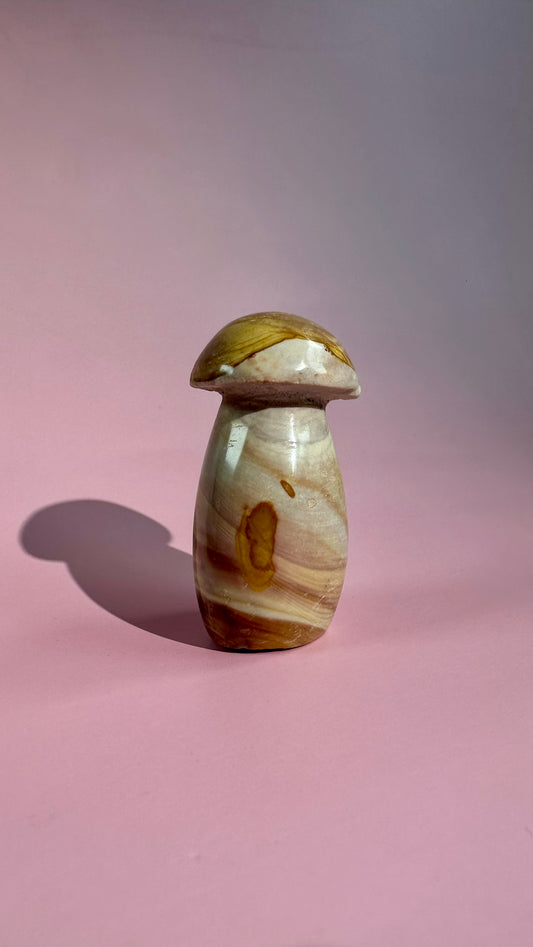 Perfectly Imperfect Small Sea Jasper Mushroom Misfit