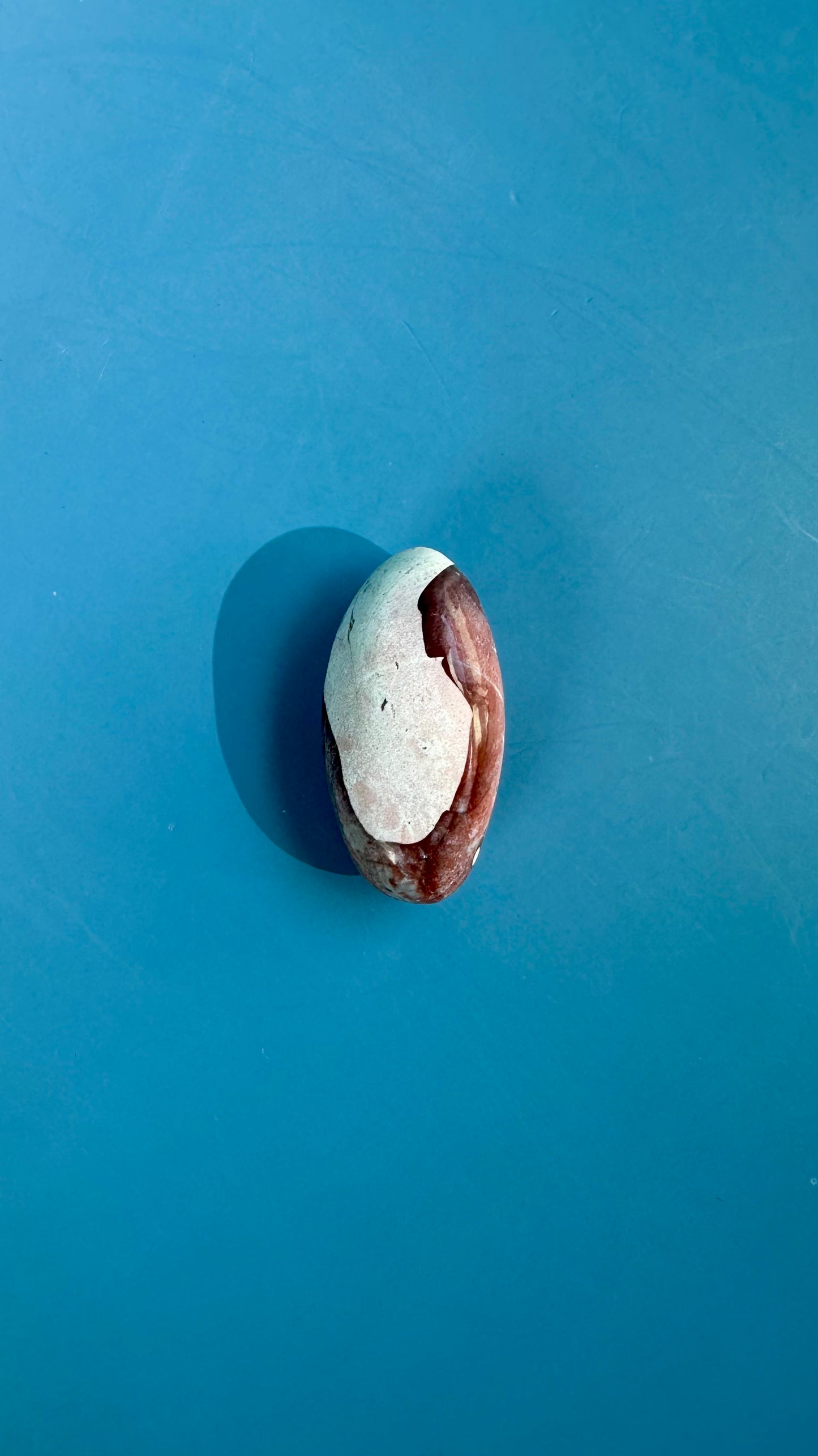 Unicorn Jasper Shiva – Option J