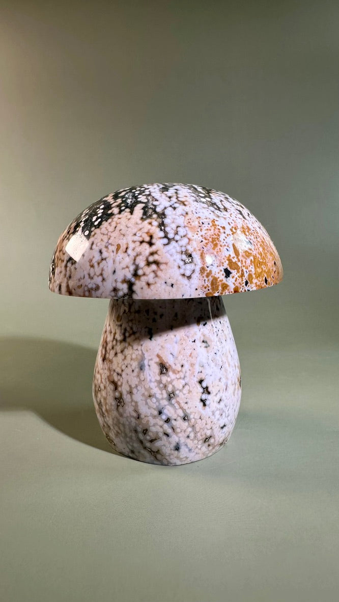 Ocean Jasper Mushroom – C