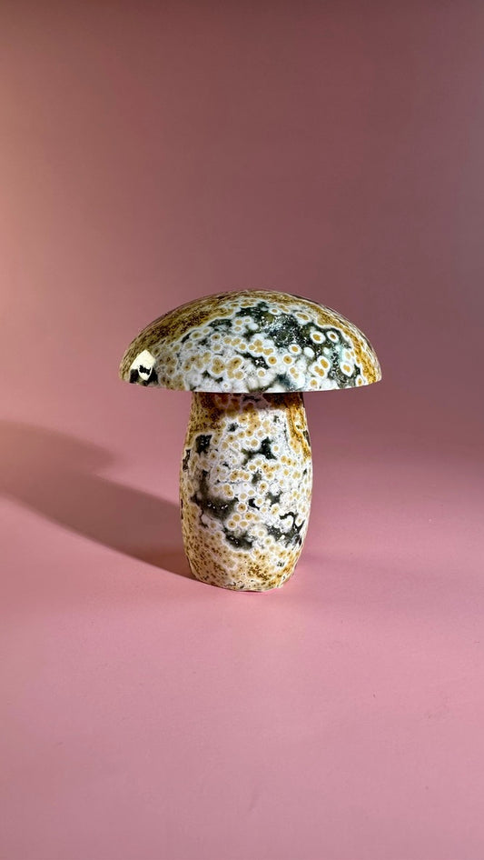 Ocean Jasper Mushroom – D